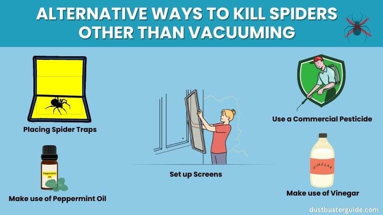 alternative ways to kill spiders other than vacuuming