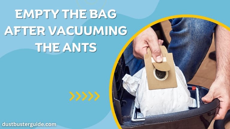 empty the bag after vacuuming the ants