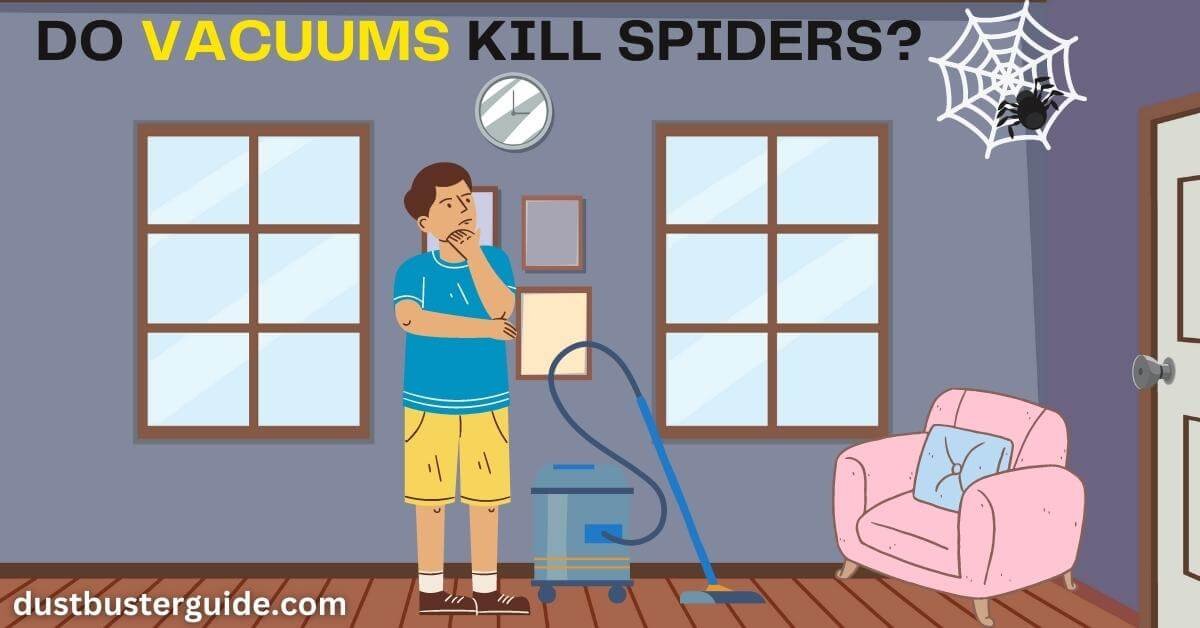 do vacuums kill spiders