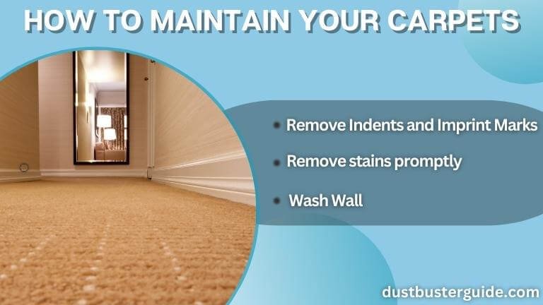 how to maintain your carpets