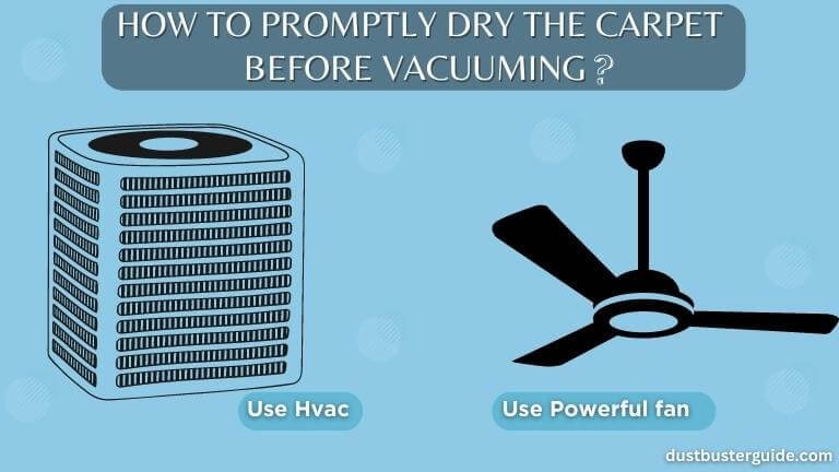 how to promptly dry the carpet before vacuuming