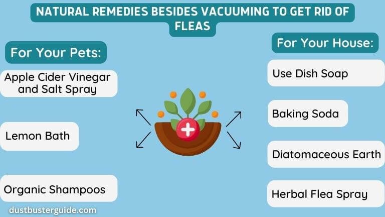 natural remedies besides vacuuming to get rid of fleas