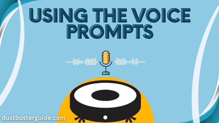 voice prompts