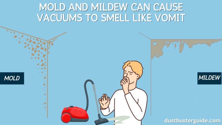 mold and mildew