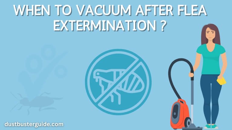 when to vacuum after flea extermination