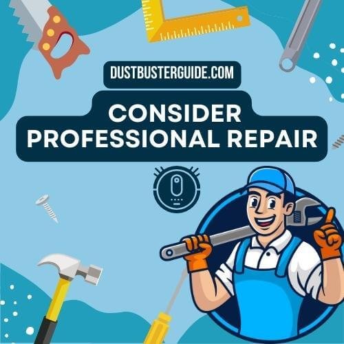 professional repair