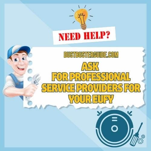 professional service