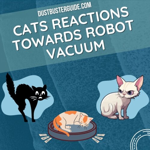 how do cats react to robot vacuum