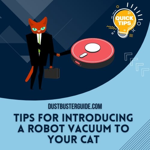 tips for introducing a robot vacuum to your cat