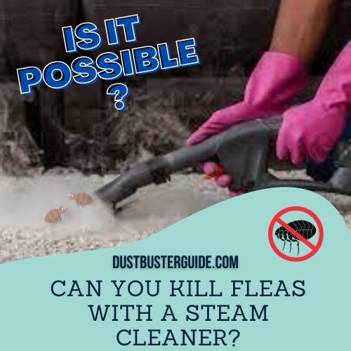 can you kill fleas with a steam cleaner