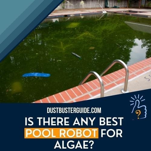 is there any best pool robot for algae