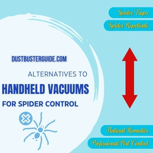 alternatives to handheld for spider control